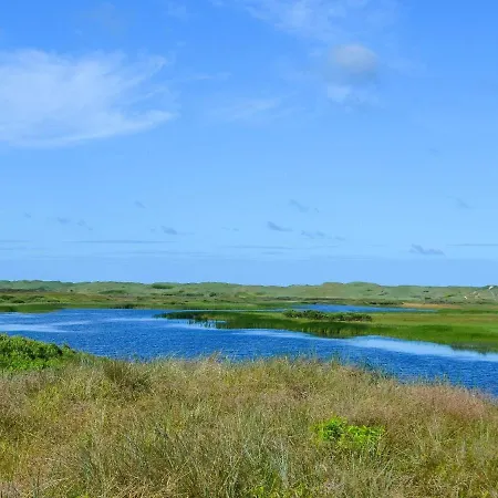 Seaside Serenity In Nymindegab-by Traum